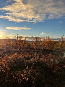 lett skogstereng i fantastisk høstvær