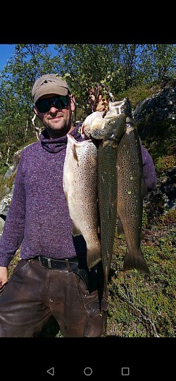 ørret, trout, finnmark, viddeliv adventure, karasjok,