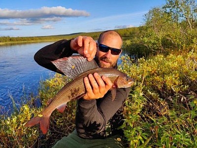 52 cm Grayling / Harr