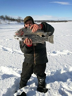 Trout, icefishing, isfiske, karasjok, viddeliv, safari, What to do in karasjok
