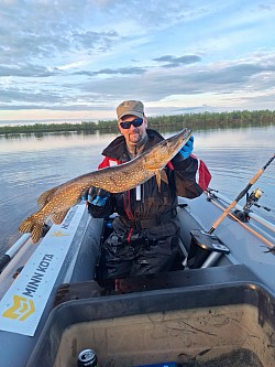 Stor gjedde, Karasjok, Finnmark, predator fiske
